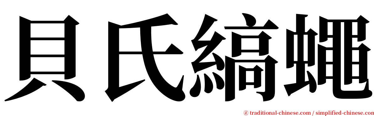 貝氏縞蠅 serif font