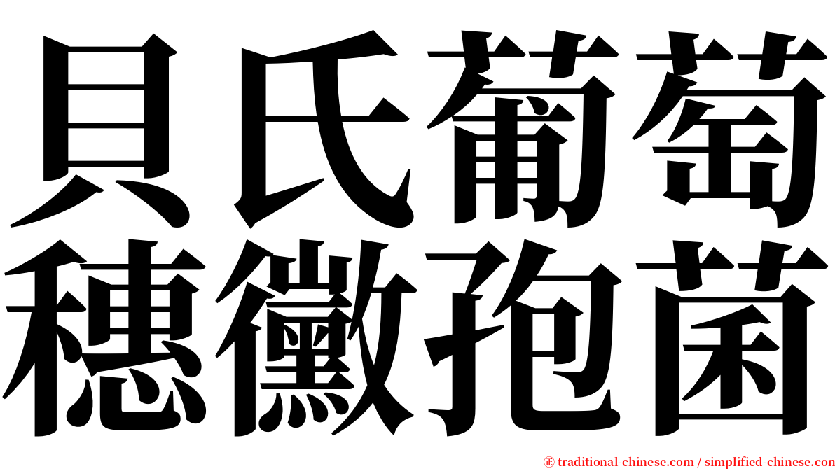 貝氏葡萄穗黴孢菌 serif font