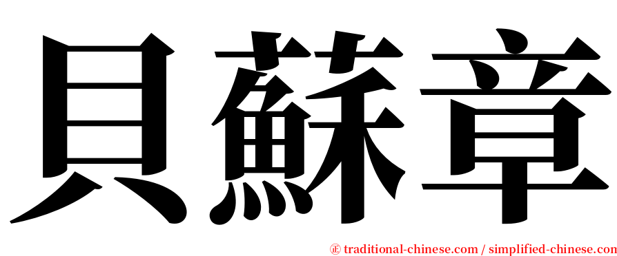 貝蘇章 serif font