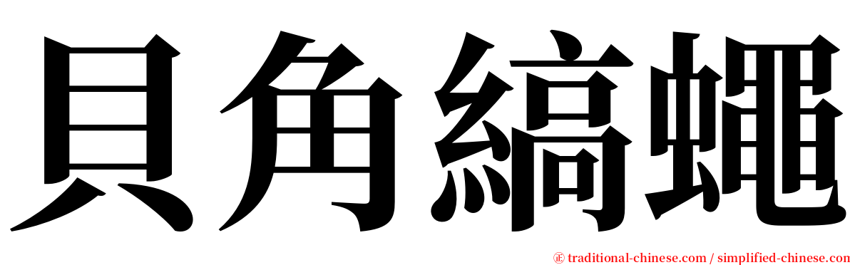 貝角縞蠅 serif font