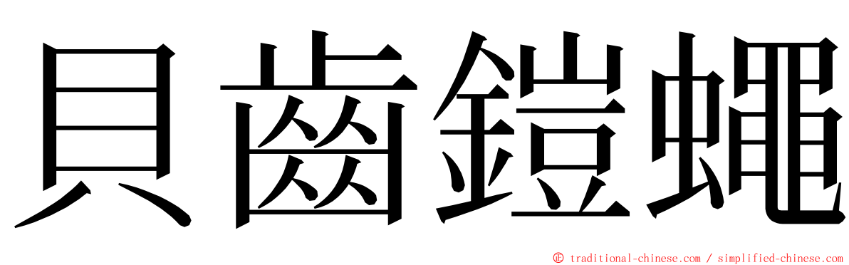 貝齒鎧蠅 ming font