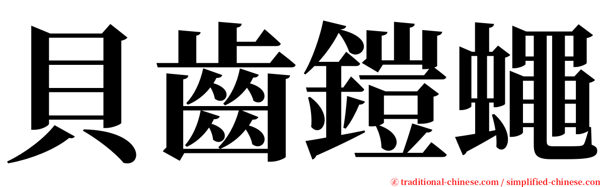 貝齒鎧蠅 serif font