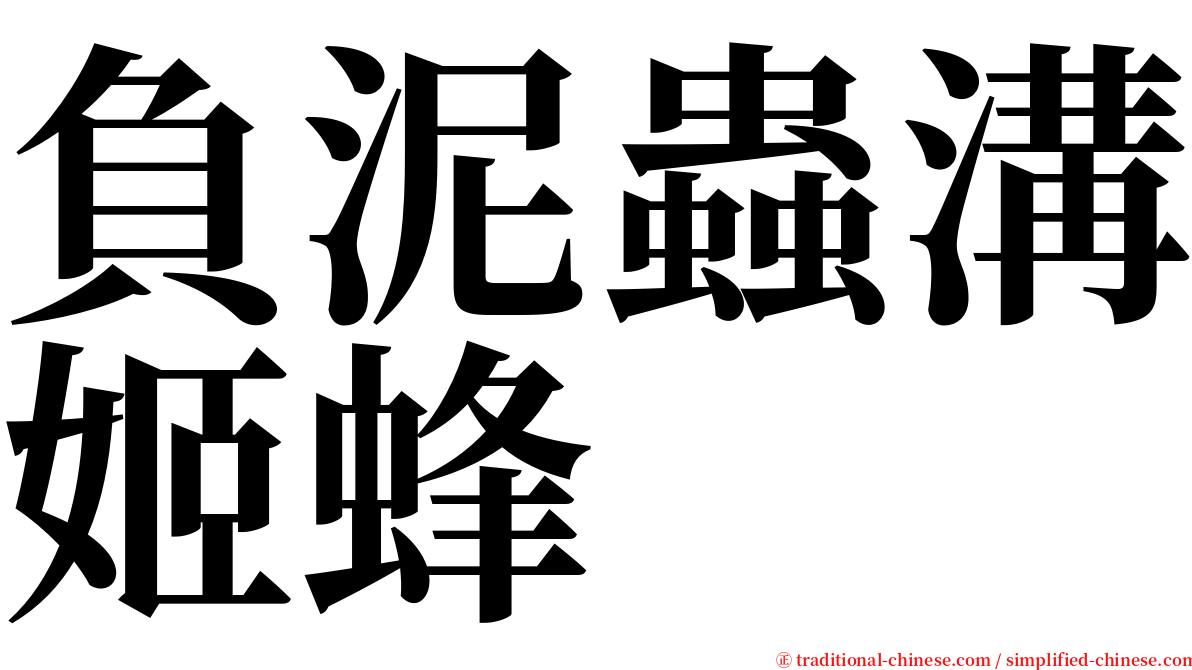 負泥蟲溝姬蜂 serif font