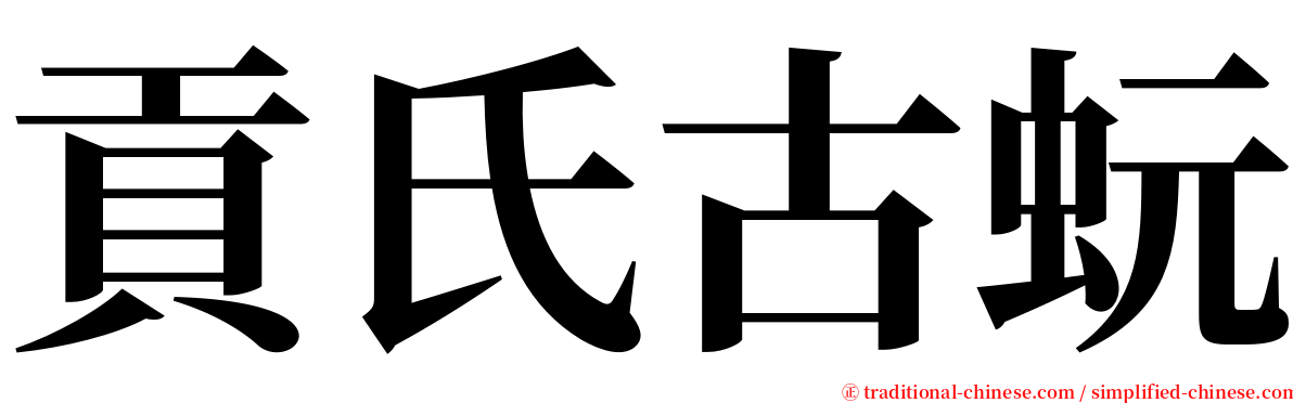 貢氏古蚖 serif font