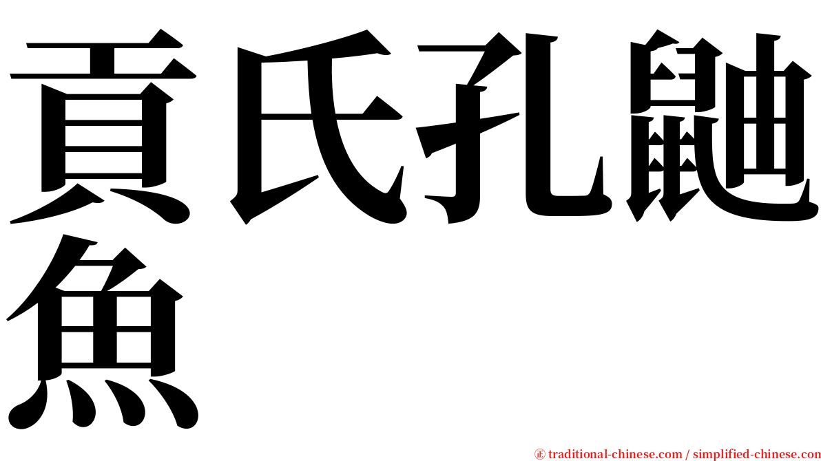 貢氏孔鼬魚 serif font
