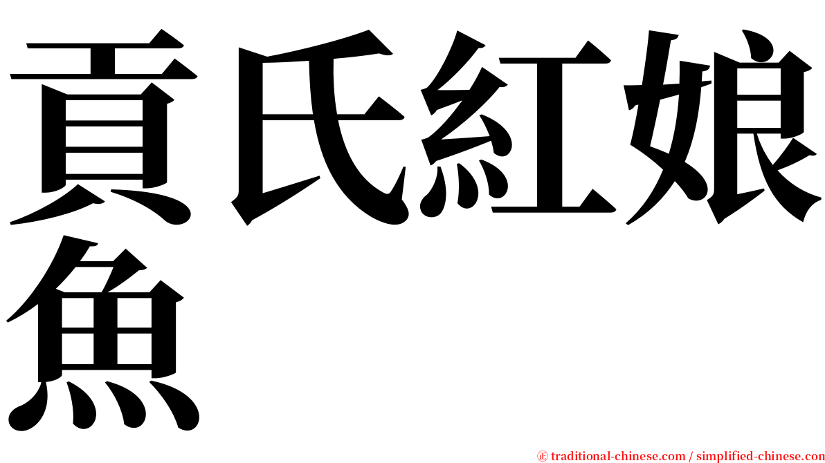 貢氏紅娘魚 serif font