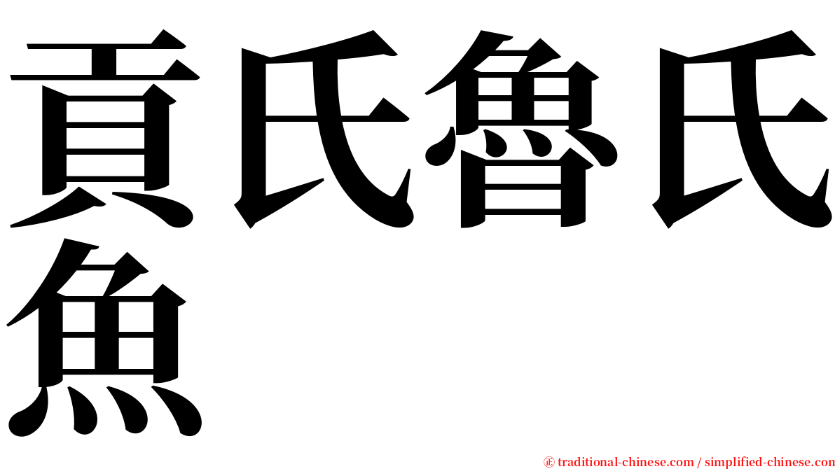 貢氏魯氏魚 serif font