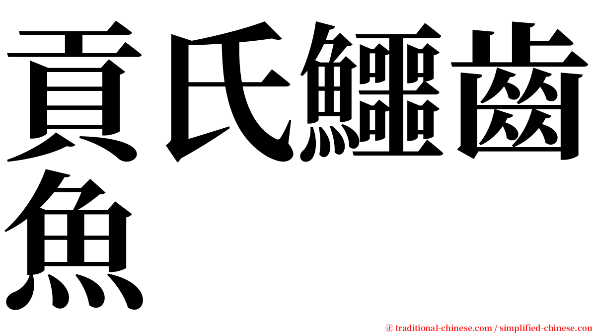 貢氏鱷齒魚 serif font