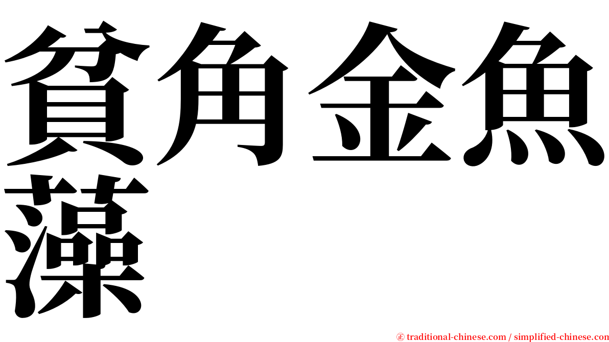 貧角金魚藻 serif font