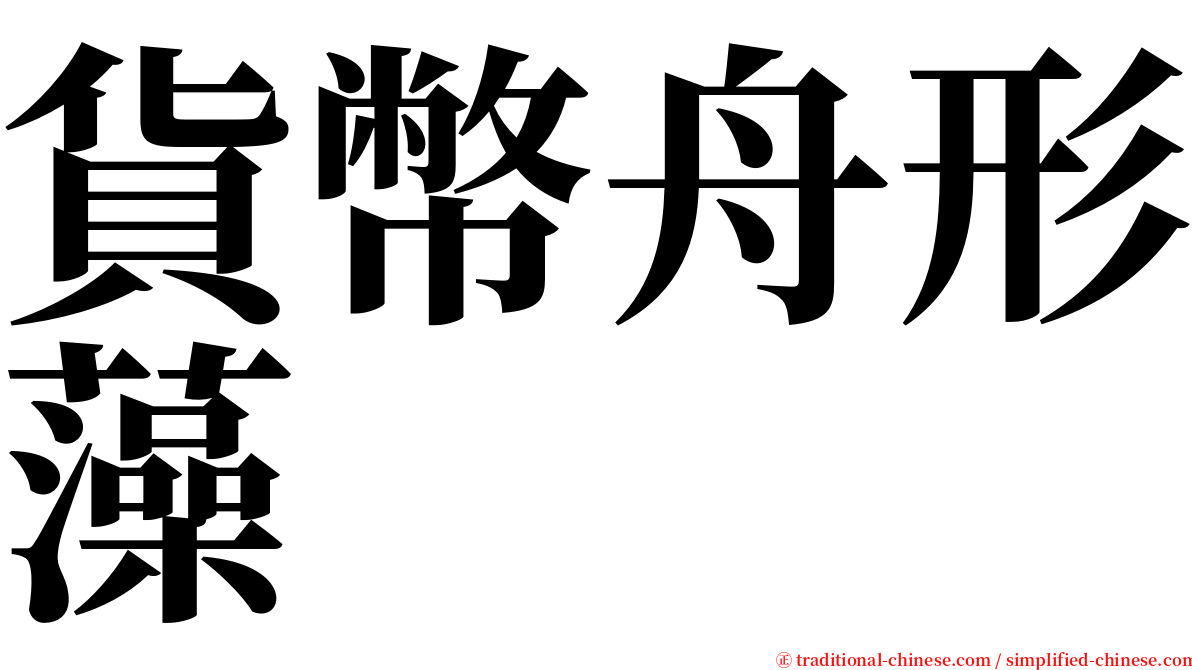 貨幣舟形藻 serif font