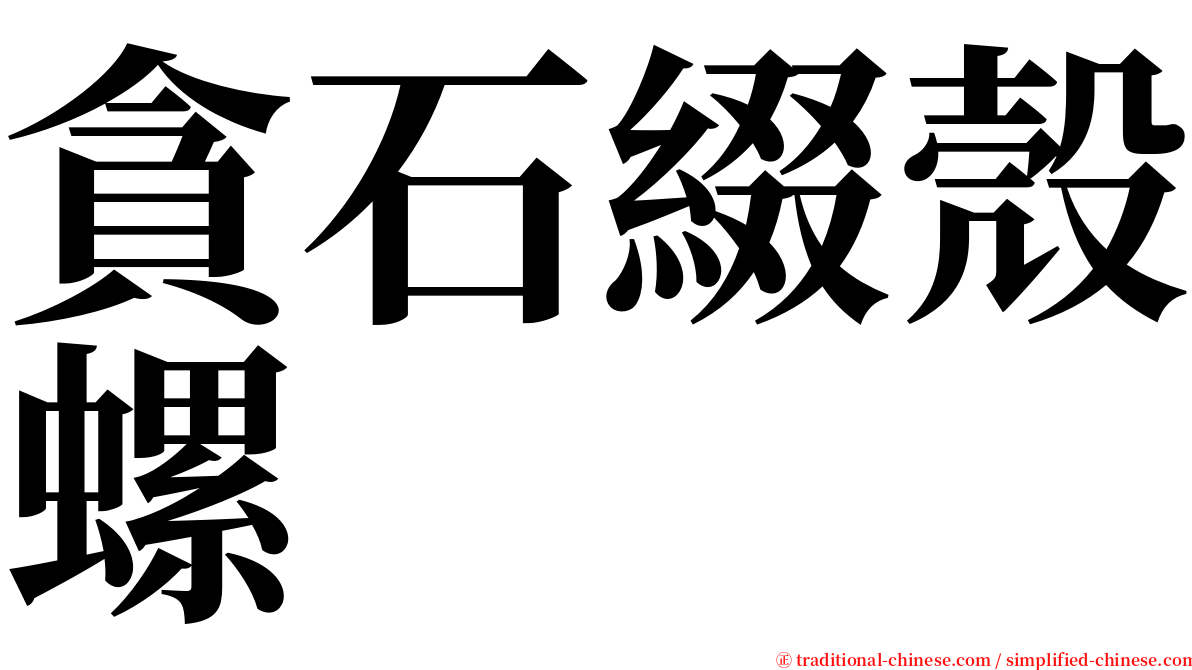 貪石綴殼螺 serif font