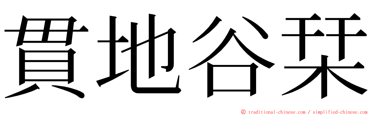 貫地谷栞 ming font