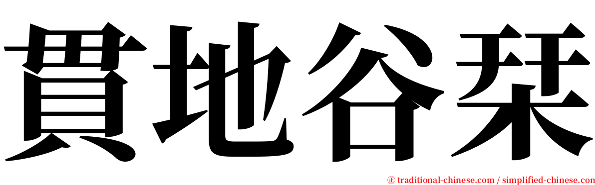 貫地谷栞 serif font