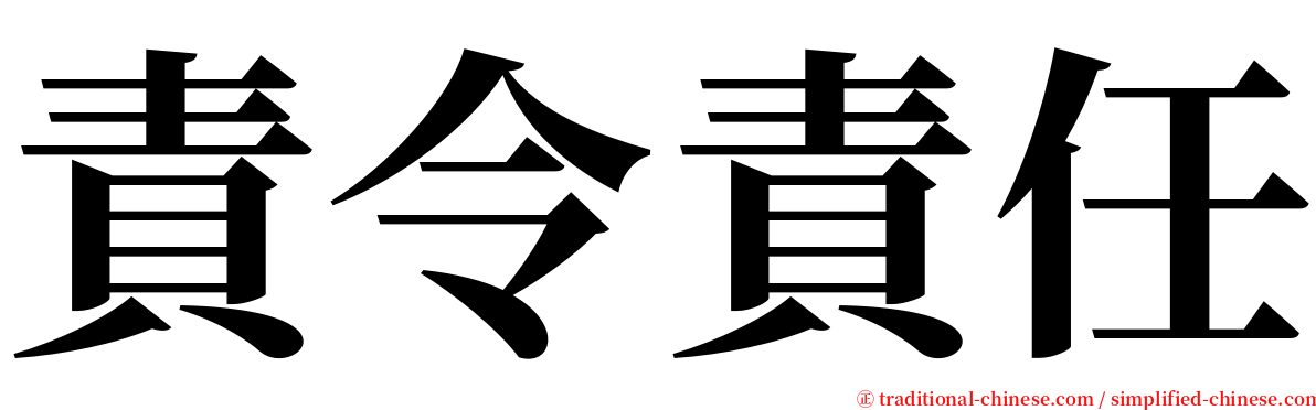 責令責任 serif font