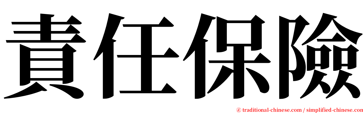 責任保險 serif font