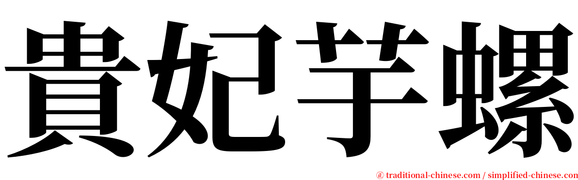 貴妃芋螺 serif font