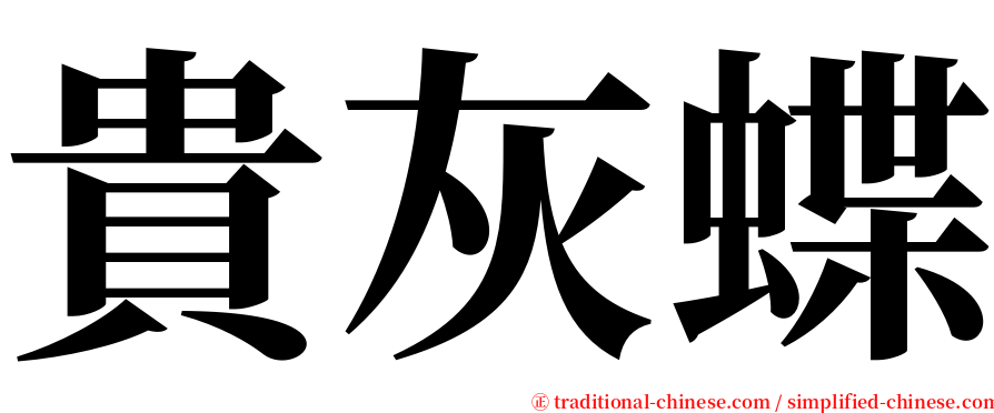 貴灰蝶 serif font