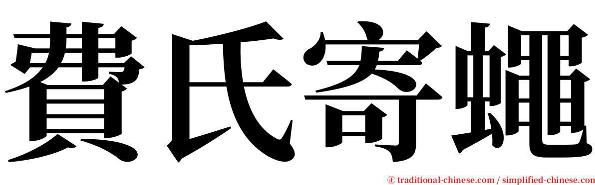 費氏寄蠅 serif font