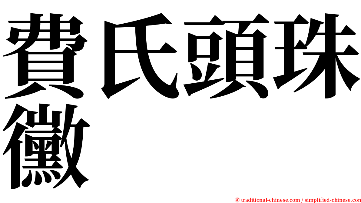 費氏頭珠黴 serif font