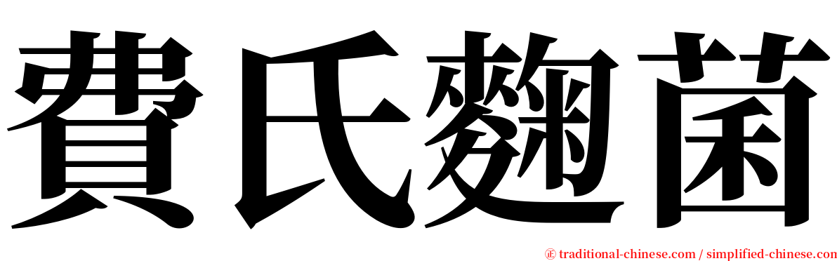 費氏麴菌 serif font