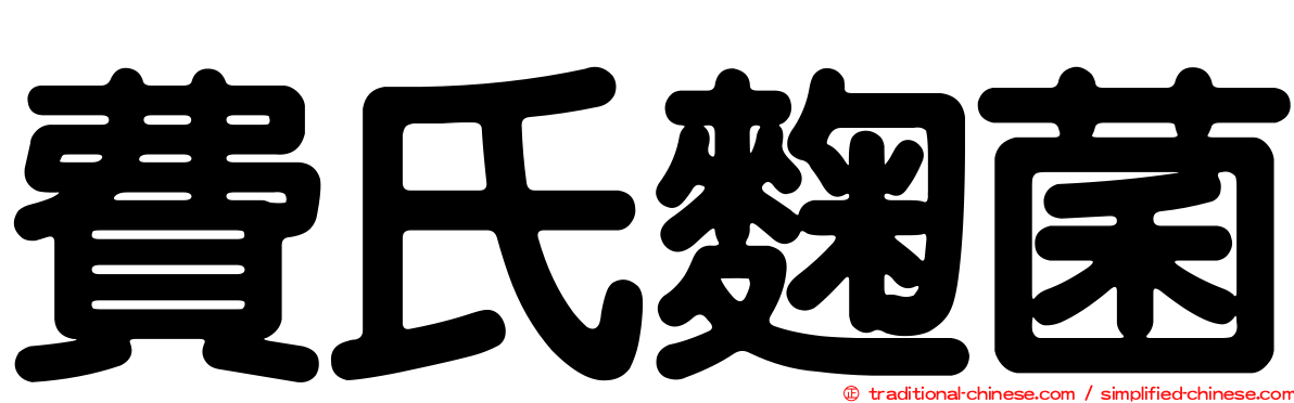 費氏麴菌