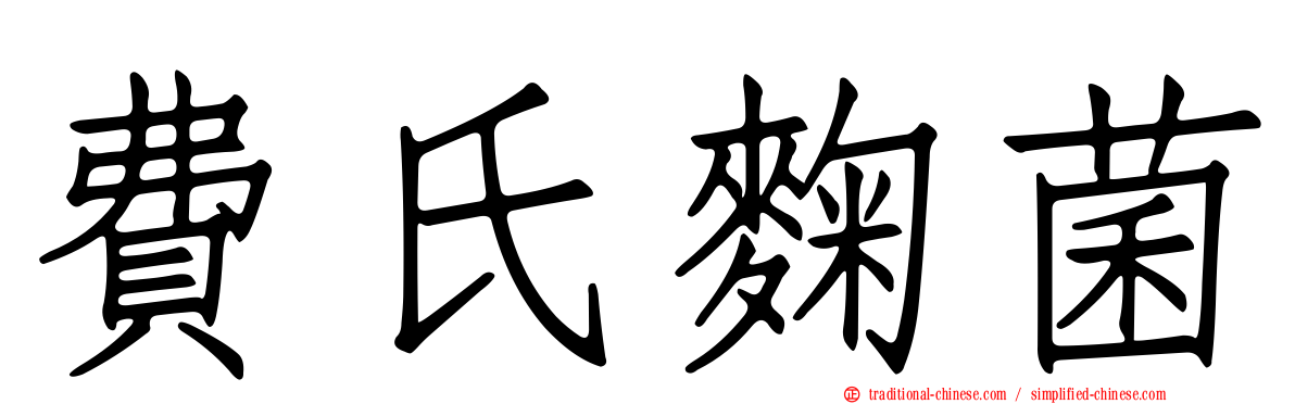費氏麴菌