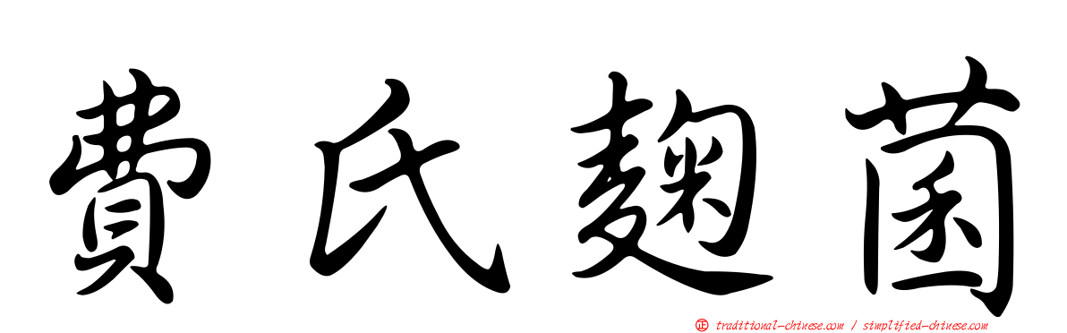 費氏麴菌