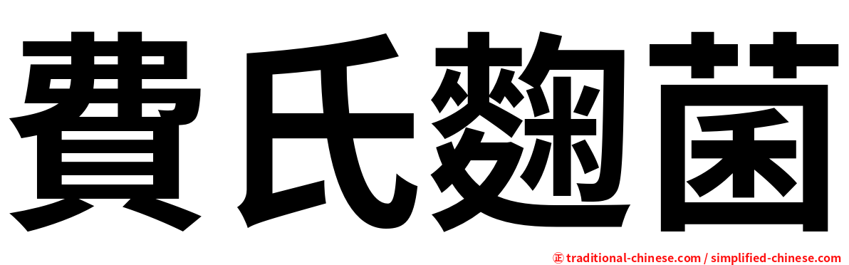 費氏麴菌
