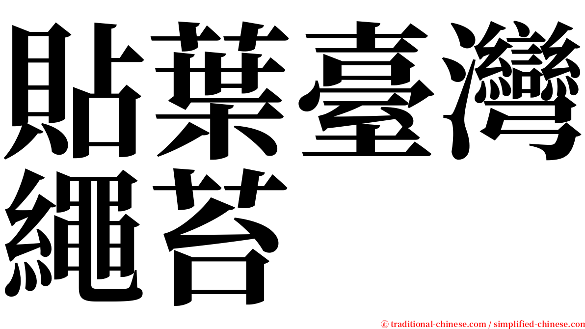 貼葉臺灣繩苔 serif font