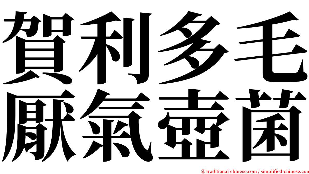 賀利多毛厭氣壺菌 serif font