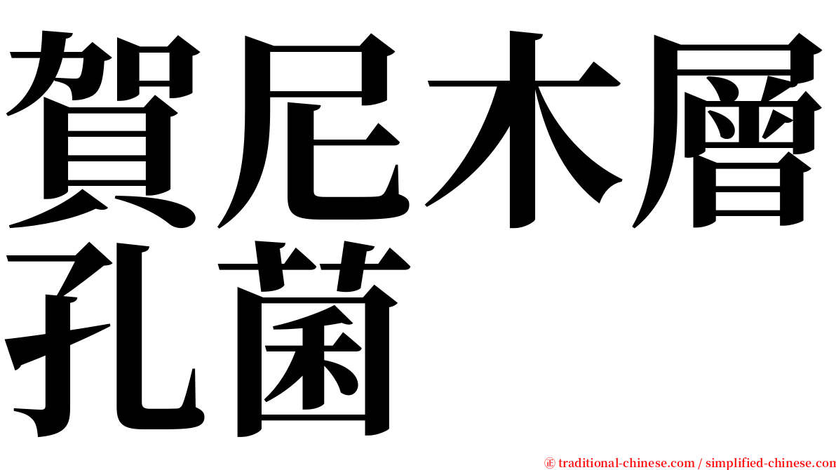 賀尼木層孔菌 serif font