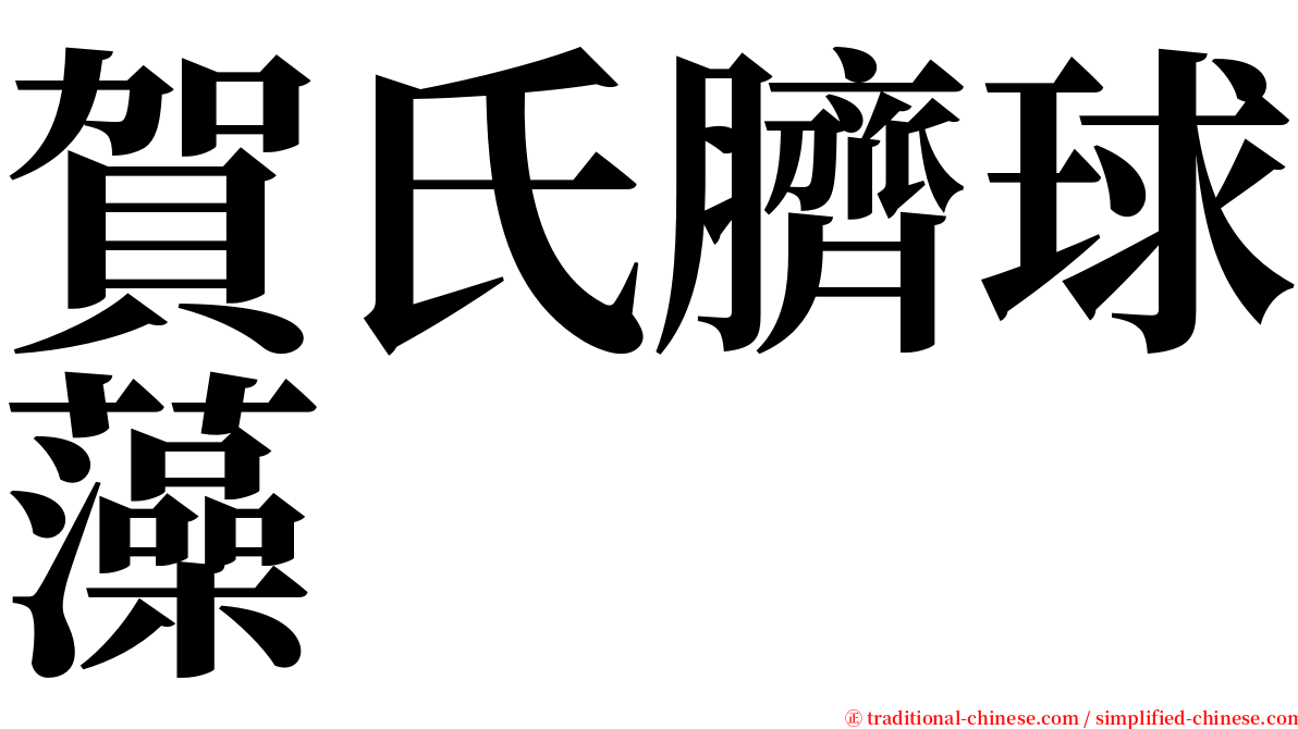 賀氏臍球藻 serif font