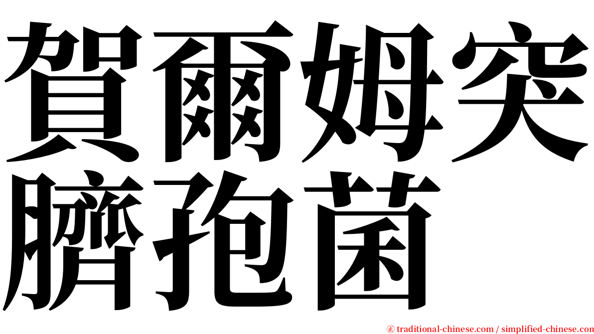 賀爾姆突臍孢菌 serif font