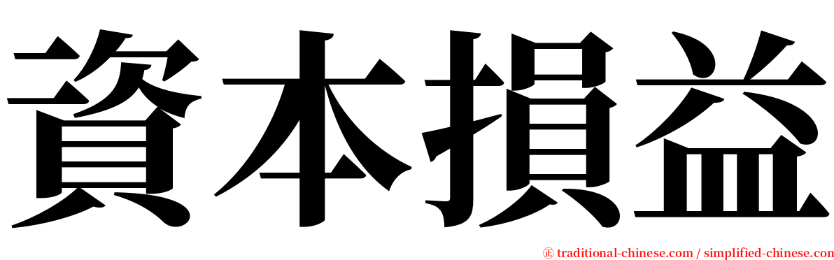 資本損益 serif font