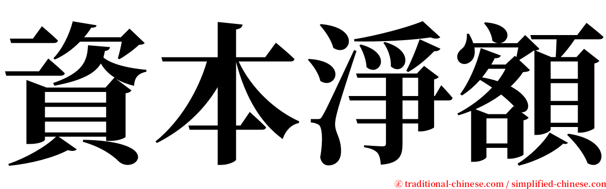 資本淨額 serif font