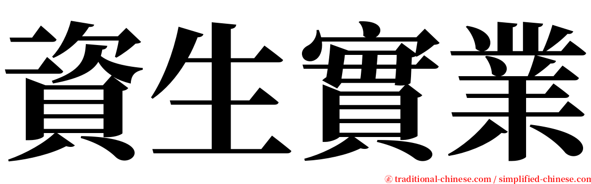 資生實業 serif font