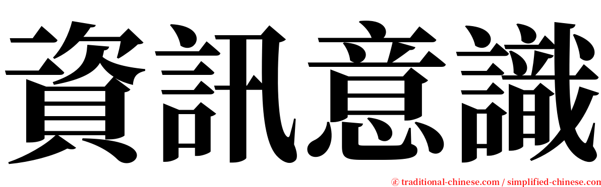 資訊意識 serif font