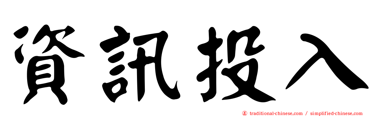 資訊投入