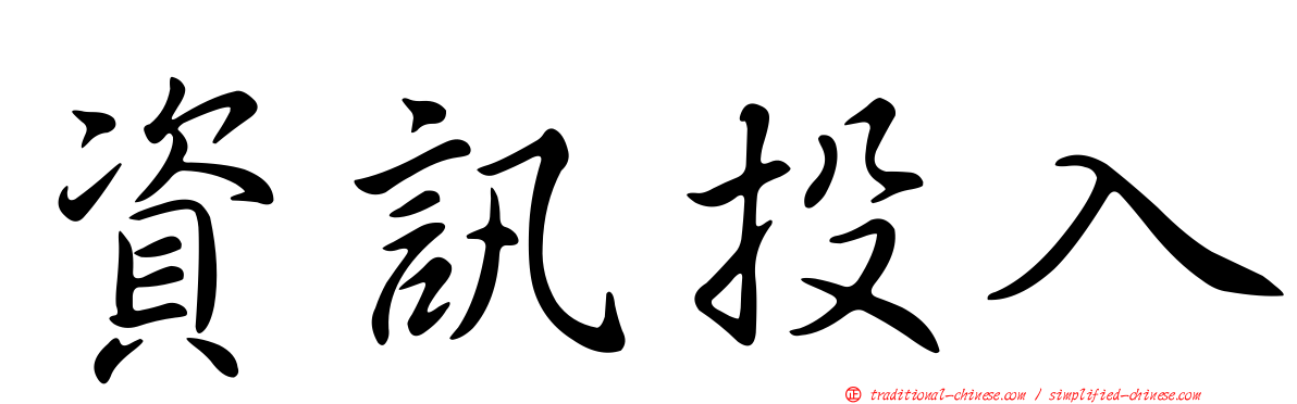 資訊投入