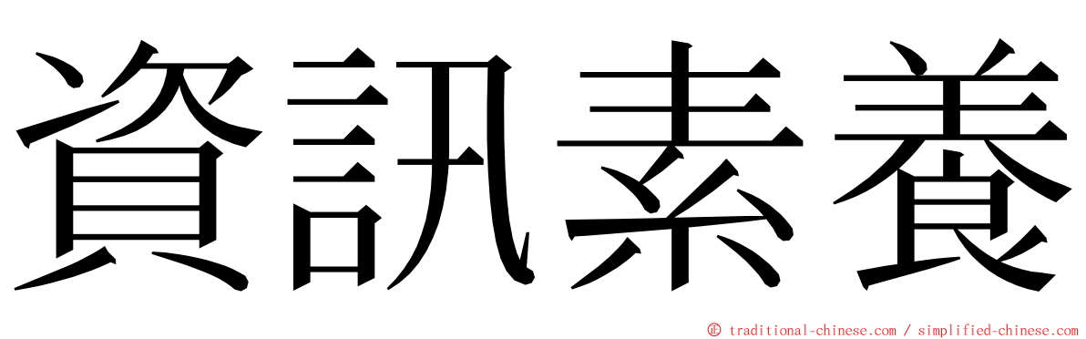 資訊素養 ming font