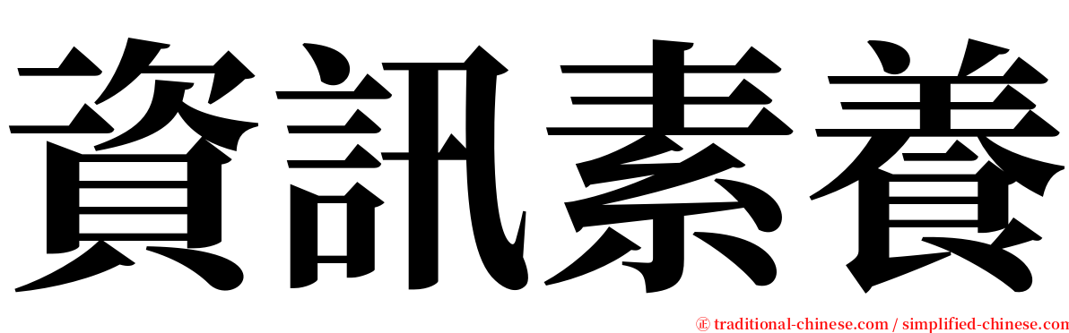 資訊素養 serif font