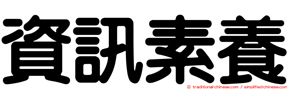 資訊素養