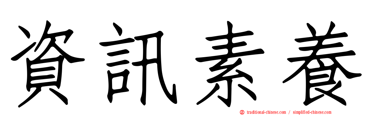 資訊素養