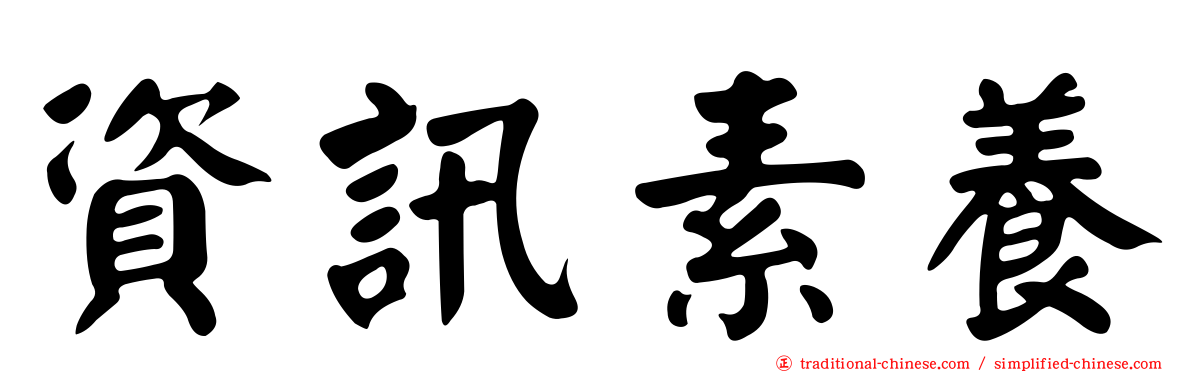 資訊素養