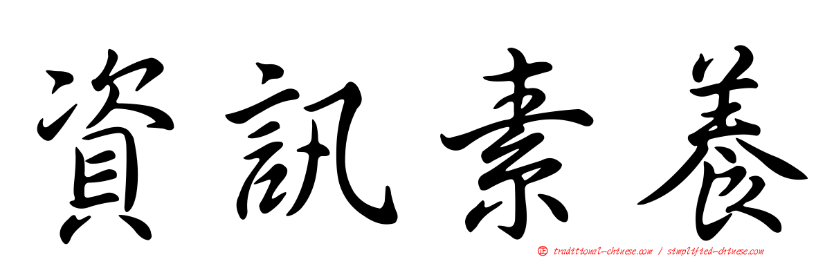 資訊素養