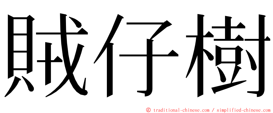 賊仔樹 ming font