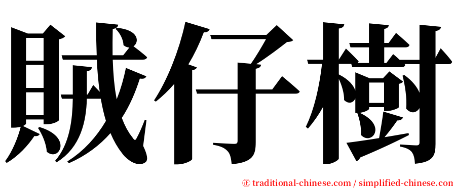 賊仔樹 serif font