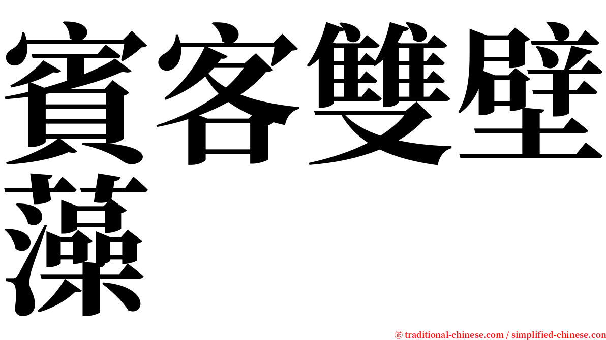 賓客雙壁藻 serif font