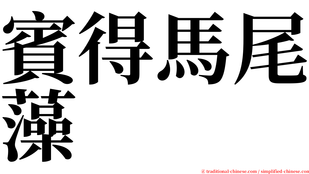 賓得馬尾藻 serif font