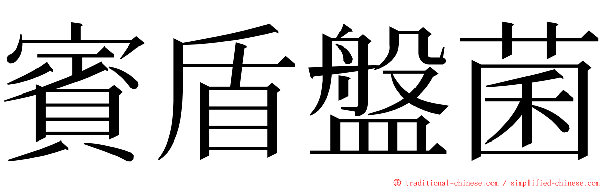 賓盾盤菌 ming font
